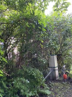 Image from job nr 4