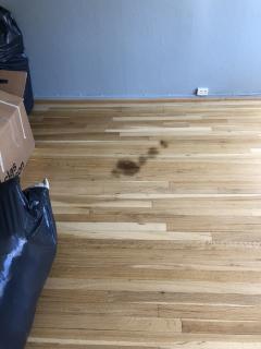 Image from job nr 1
