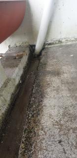 Image from job nr 3