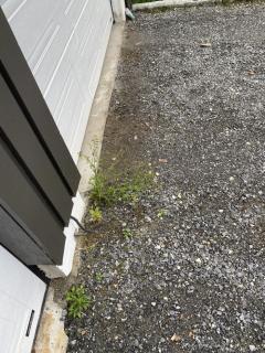 Image from job nr 4