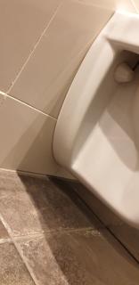 Image from job nr 2