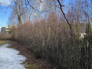 Image from job nr 3
