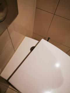 Image from job nr 2