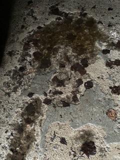Image from job nr 5