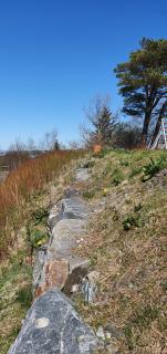 Image from job nr 3