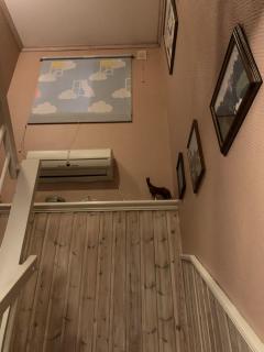 Image from job nr 3
