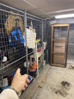 Image from job nr 3