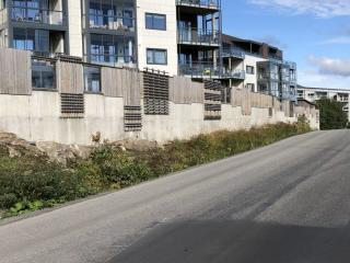 Image from job nr 1
