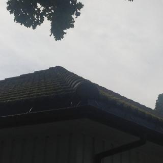 Taket som trenger rensing.