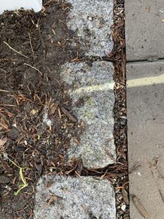 Image from job nr 6
