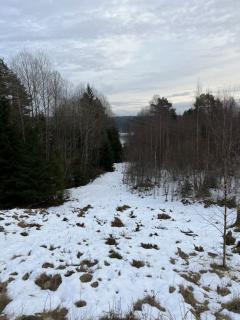 Image from job nr 1