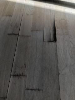 Image from job nr 1