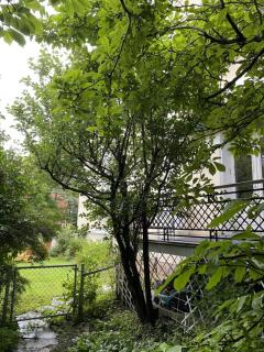 Image from job nr 5