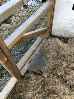 Image from job nr 4