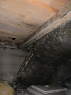 Image from job nr 3