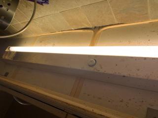 Image from job nr 1