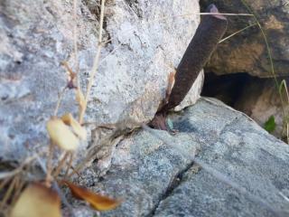 Image from job nr 6