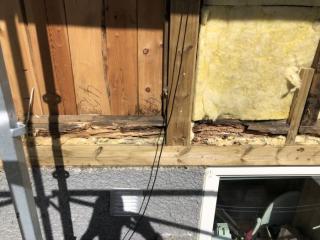 Image from job nr 2