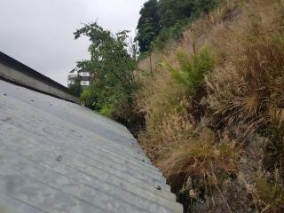 Image from job nr 2