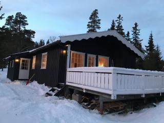 Image from job nr 2