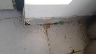 Image from job nr 6
