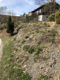 Image from job nr 2