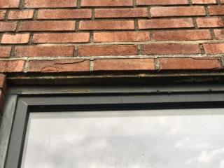 Image from job nr 1