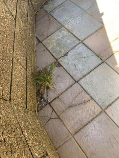 Image from job nr 3