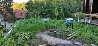 Image from job nr 2
