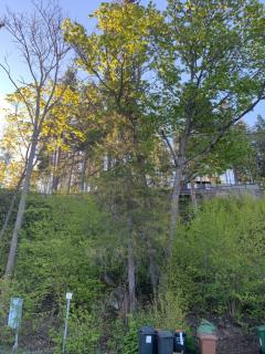 Image from job nr 2