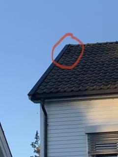 Image from job nr 1