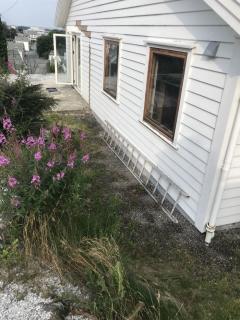 Image from job nr 3