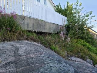 Image from job nr 2