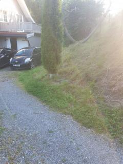 Image from job nr 2