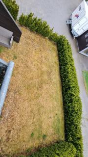 Image from job nr 4