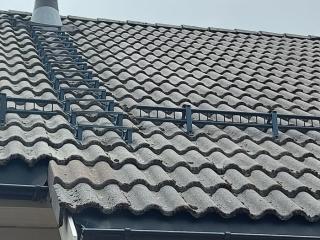 Image from job nr 1