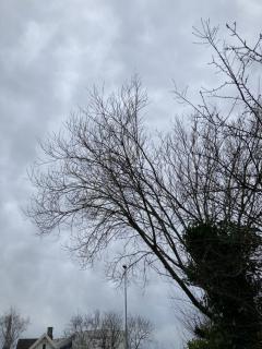 Image from job nr 2