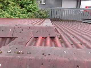 Image from job nr 2