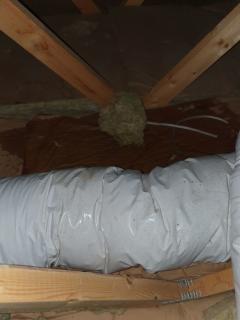 Image from job nr 1