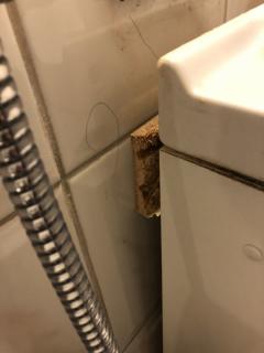 Image from job nr 1