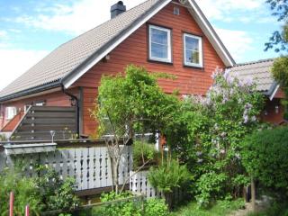Image from job nr 1