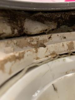 Image from job nr 1