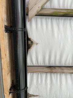 Image from job nr 1