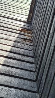 Image from job nr 1