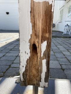 Image from job nr 2