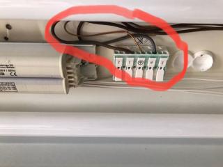Image from job nr 3