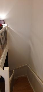 Image from job nr 1