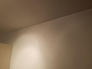 Image from job nr 1