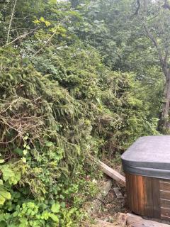 Image from job nr 1