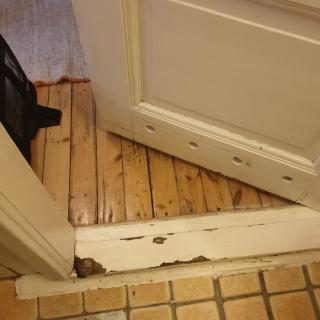 Image from job nr 1